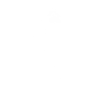 azeite-gallo-branco-millenium-distribuidora
